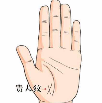 女性右手十字纹和通天纹,五条手纹的命运