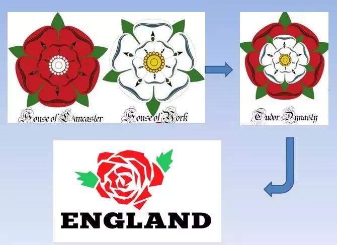 为什么中国没有定国花？