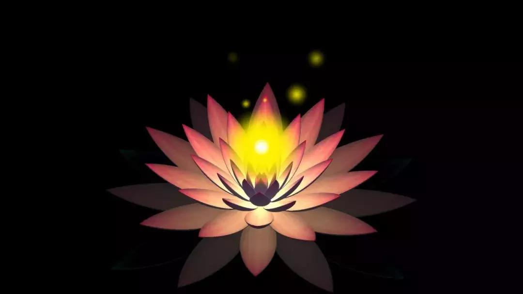 为什么中国没有定国花？