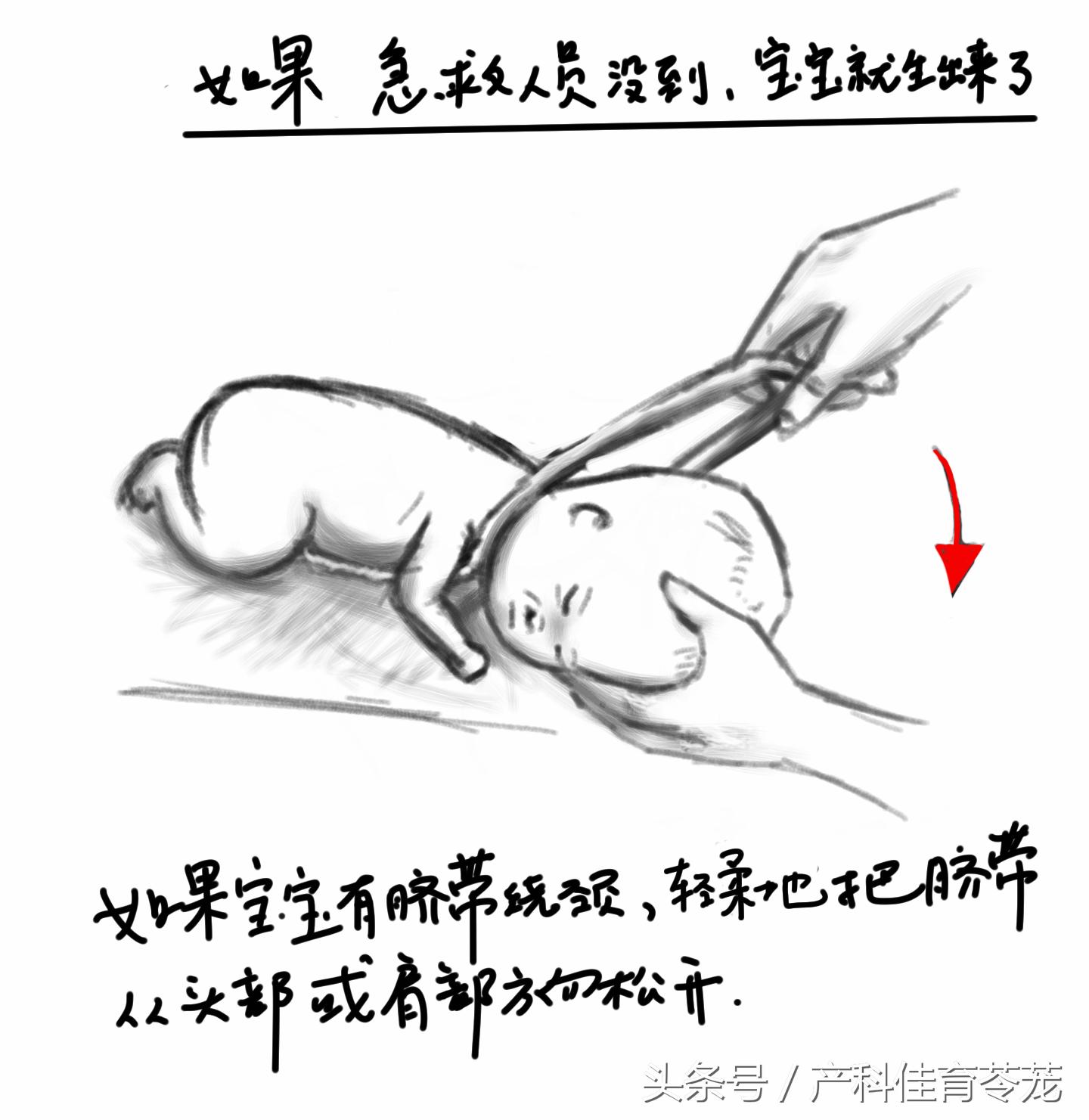 老婆在家要生孩子怎么办,老婆在家马上要生三胎