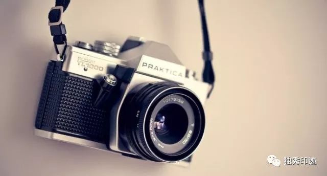 水中花，美翻了！