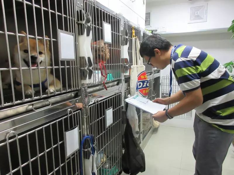 给萌宠看病哪家强？认准海珠这47家放心宠物医院！