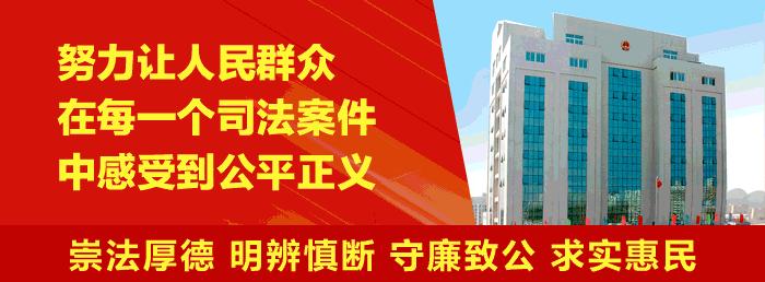 执行利剑啥意思,执行利剑2018