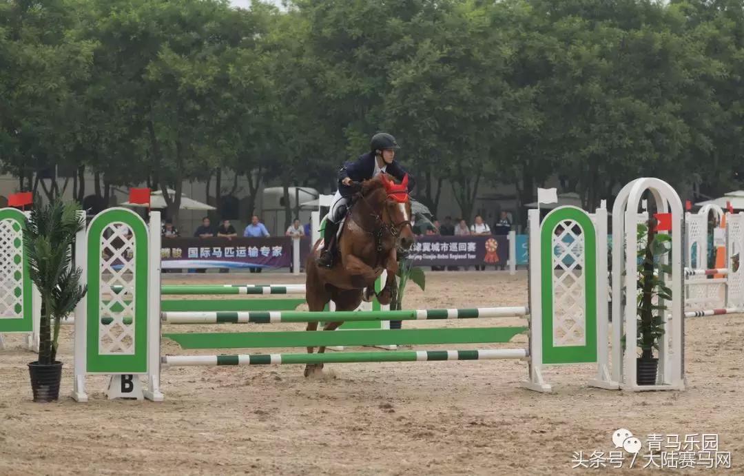 鸟巢之路马术巡回赛,鸟巢之路巡回赛