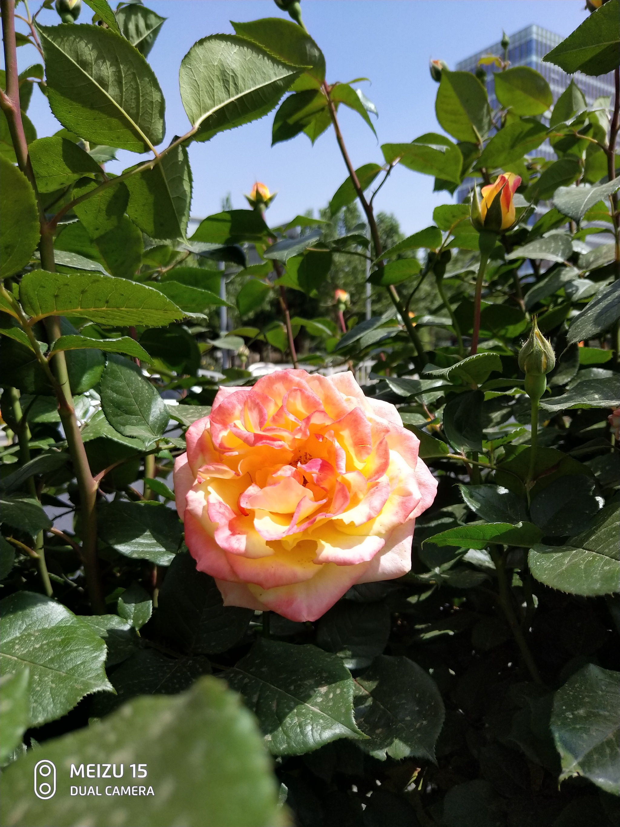 魅族15下一代评测,魅族15使用感受