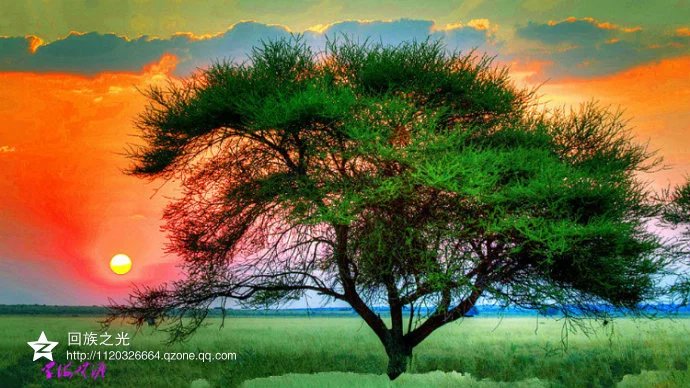 邂逅死神,邂逅死亡美剧