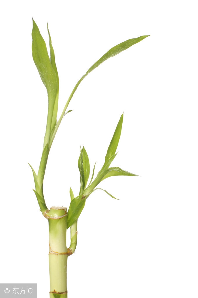 期货交易之道完整版,期货交易之道图片