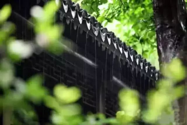 写梅子的诗句,写梅子诗句