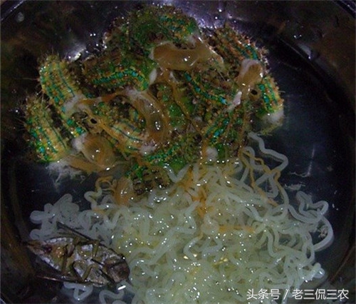 农村最常见的毛毛虫,农家常见的毛毛虫