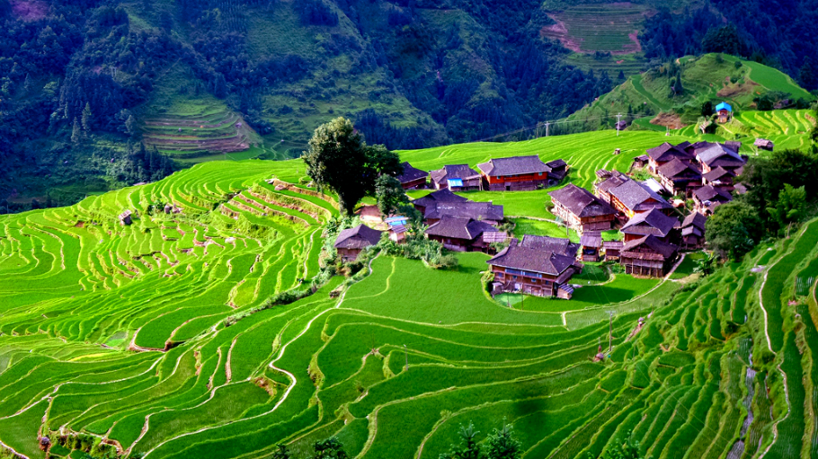 贵州黔东南加榜梯田,2024年从江加榜梯田收门票吗