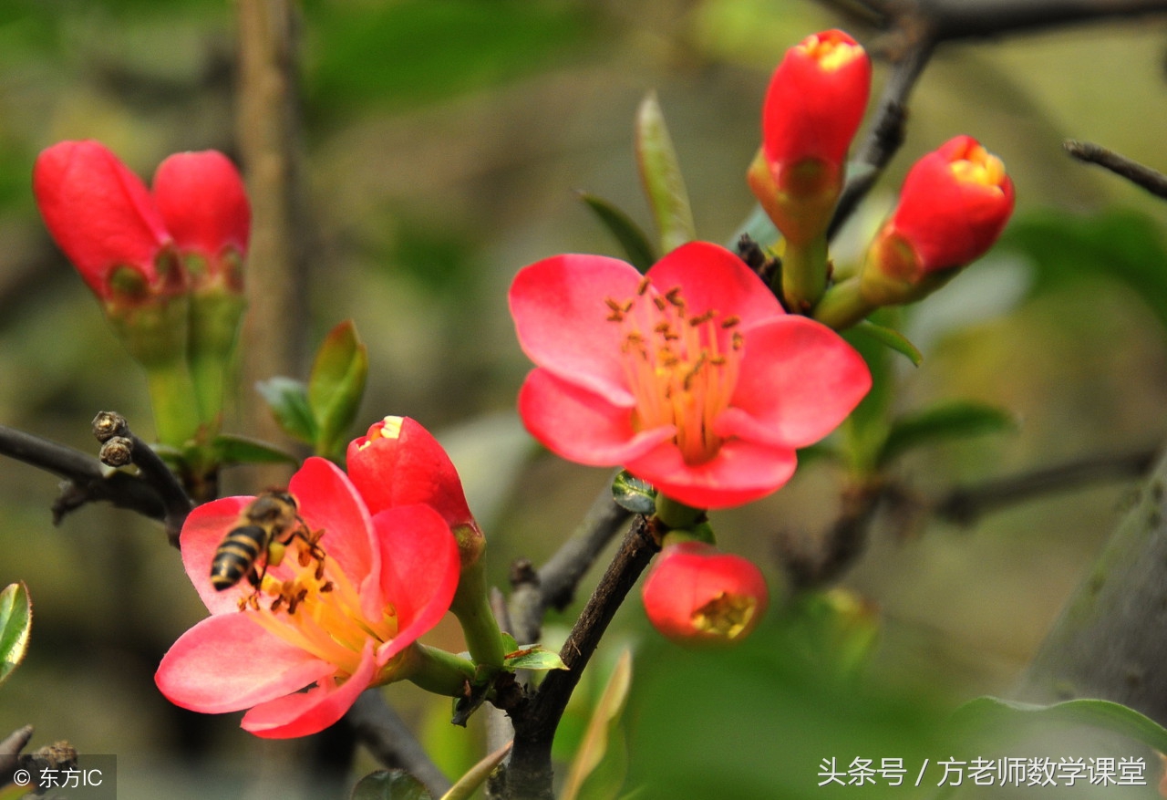 孩子即将中考父母怎么做,孩子中考妈妈对孩子应该做什么