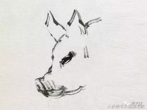 十二生肖猪水墨画简单的画法,学画猪的100种画法