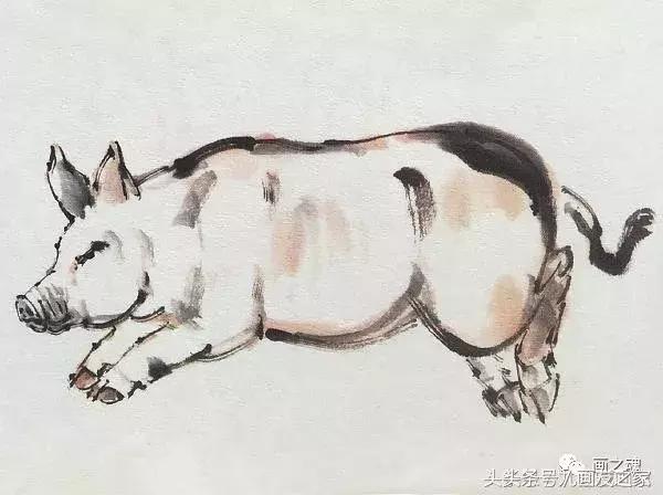 十二生肖猪水墨画简单的画法,学画猪的100种画法