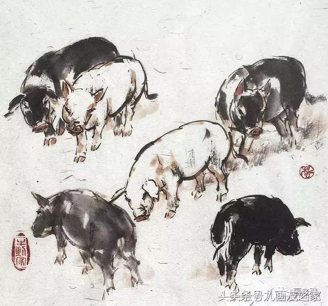 十二生肖猪水墨画简单的画法,学画猪的100种画法