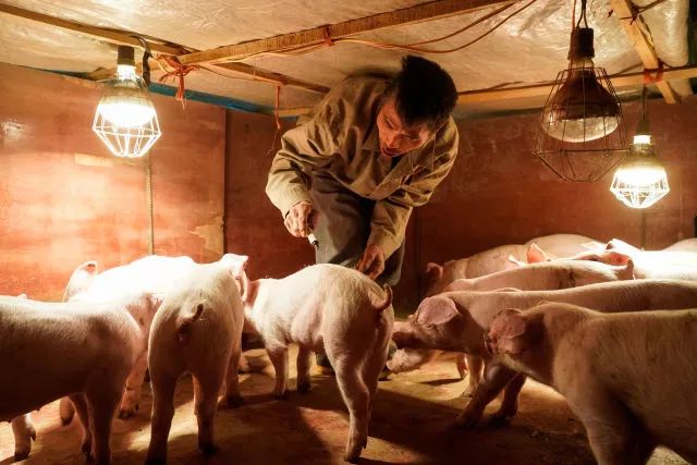 玉屏,为什么能赢?