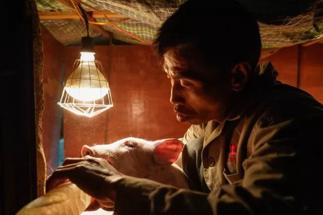 玉屏,为什么能赢?