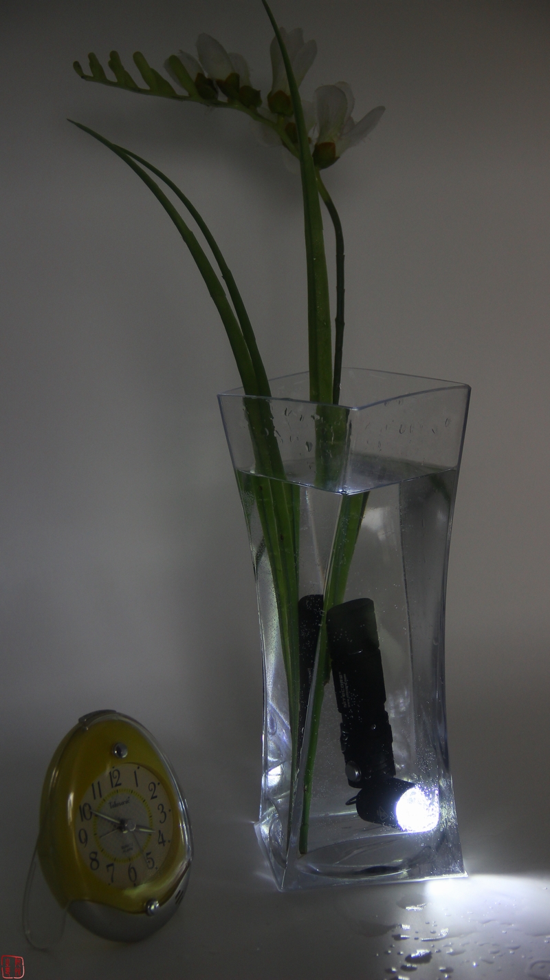 全能小怪-NITECOREMT21C使用体验