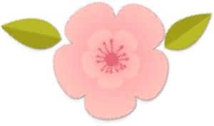 护考过了依然没有工作,护考结束后去哪里工作