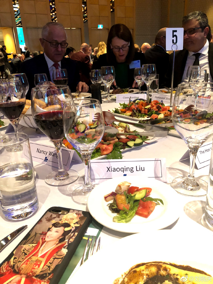 从著名阶下囚到澳洲总理座上宾,刘晓庆的传奇已经超过邓文迪