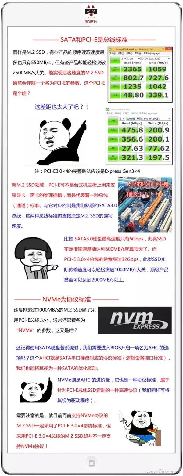 铅锤哥：固态硬盘的M.2、SATA、PCI-E、NVME究竟说的是什么？
