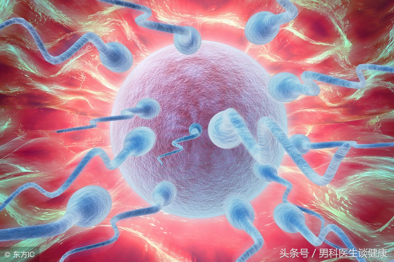 母亲节最珍贵的礼物：“不育”男的“小蝌蚪”终于会跑步了