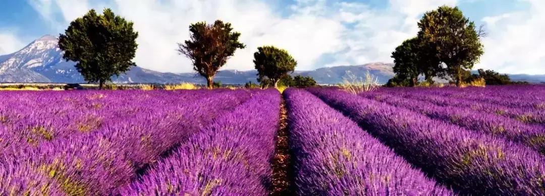 涓嶈缇℃厱鍑哄幓鏃呮父鐨勪汉,涓嶈缇℃厱鍑哄浗鏃呮父