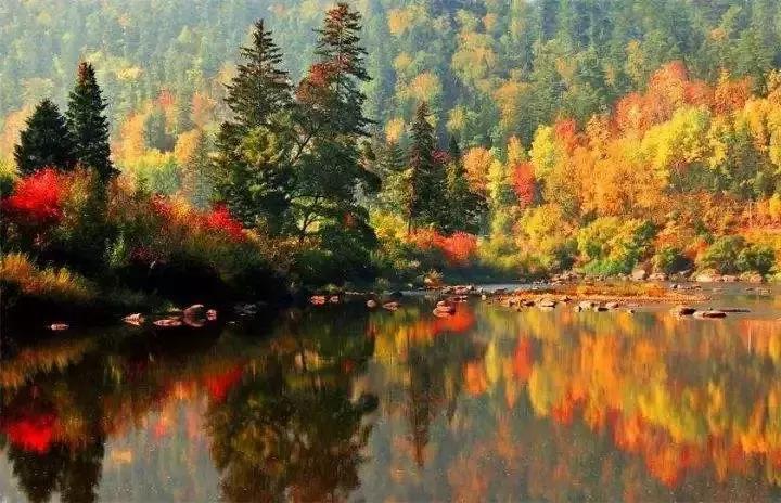 涓嶈缇℃厱鍑哄幓鏃呮父鐨勪汉,涓嶈缇℃厱鍑哄浗鏃呮父