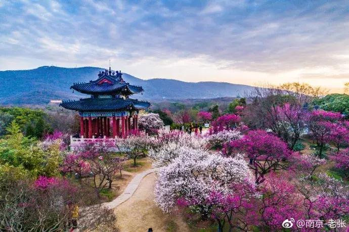 涓嶈缇℃厱鍑哄幓鏃呮父鐨勪汉,涓嶈缇℃厱鍑哄浗鏃呮父