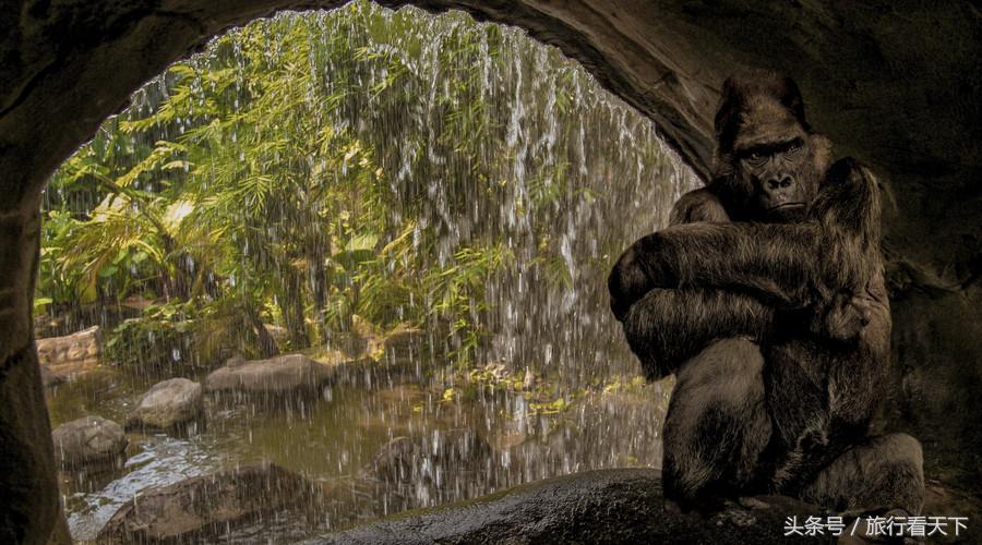孙悟空的老家江苏连云港,西游记里孙悟空的老家花果山