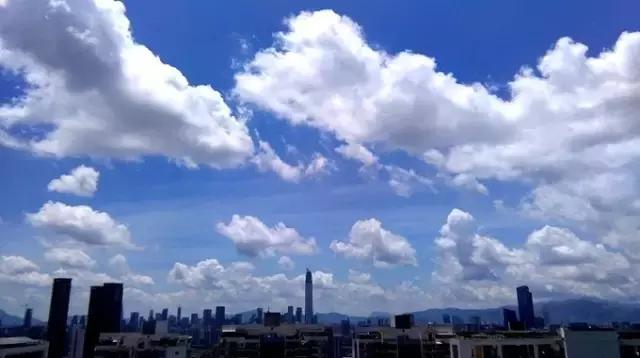 今天深圳有什么新的消息吗,今天深圳市新消息