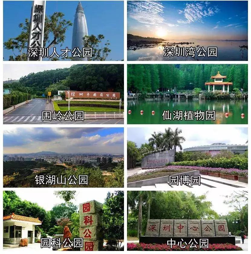 今天深圳有什么新的消息吗,今天深圳市新消息