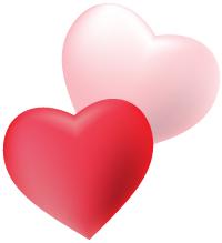 姣嶄翰鑺傜壒杈戞瀵熼櫌,姣嶄翰鑺傛瀵熼櫌鐗硅緫