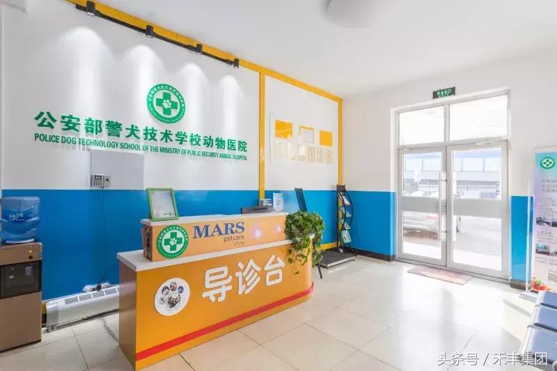 汶川地震功勋犬视频素材,512汶川地震的功勋犬搜救视频