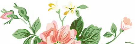 那个鲅鱼圈史学界的小学生,还差六年才毕业