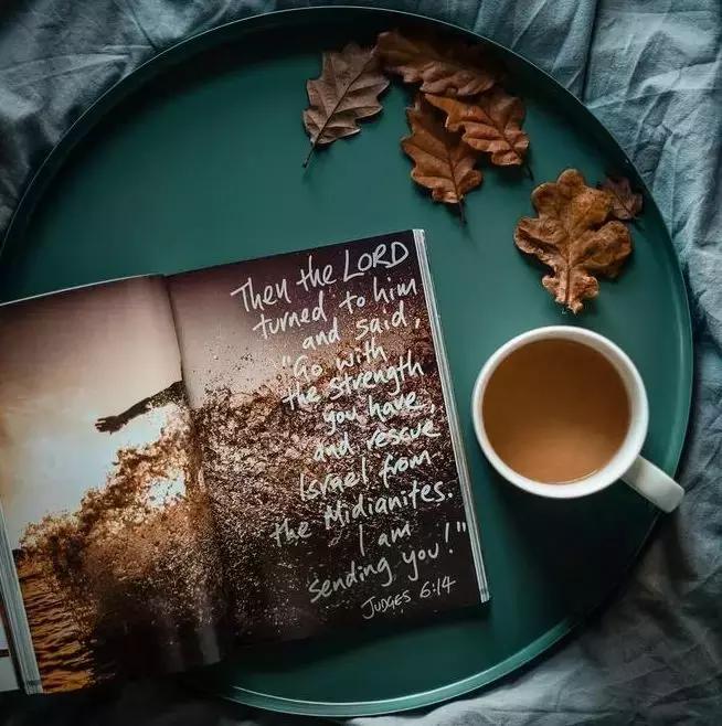 工作之后特别不适应,工作后发现岗位越做越不顺心