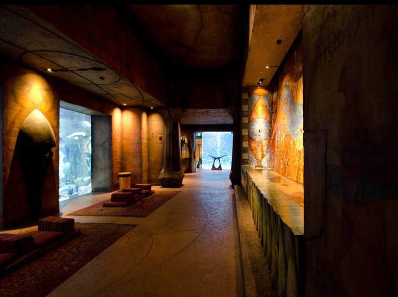 迪拜10大奢华酒店价格,迪拜最贵的酒店780平多少钱一宿