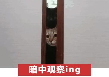 网络聊天的十大潜规则,网络聊天规则包括哪些规则