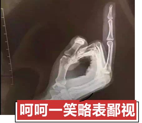 网络聊天的十大潜规则,网络聊天规则包括哪些规则