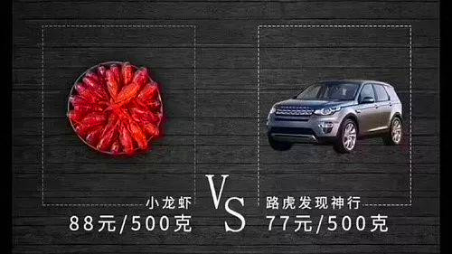 没有最豪，只有更壕！你们都看小龙虾我偏偏关注“龙虾之王”