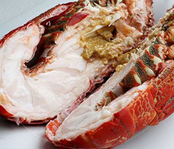 没有最豪，只有更壕！你们都看小龙虾我偏偏关注“龙虾之王”