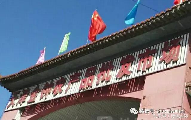 全国蔬菜批发市场十大排名榜,全国蔬菜批发市场十大排名