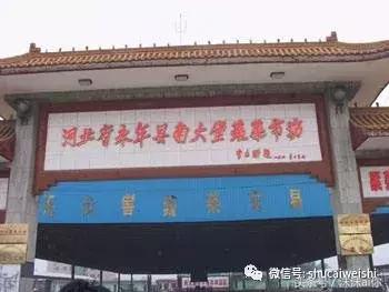 全国蔬菜批发市场十大排名榜,全国蔬菜批发市场十大排名