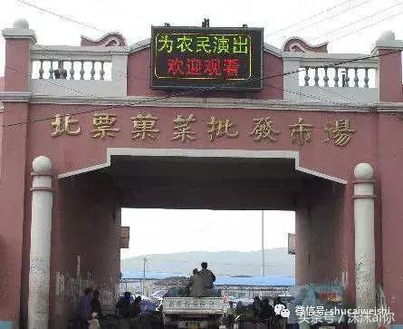 全国蔬菜批发市场十大排名榜,全国蔬菜批发市场十大排名