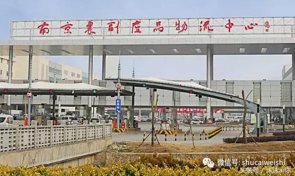 全国蔬菜批发市场十大排名榜,全国蔬菜批发市场十大排名