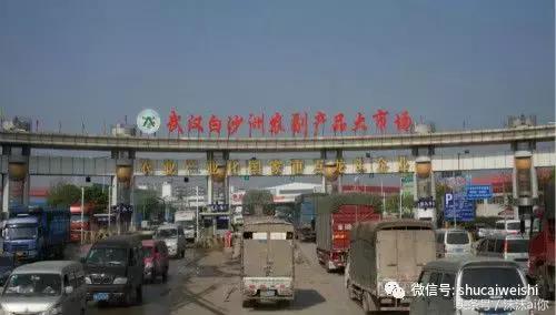 全国蔬菜批发市场十大排名榜,全国蔬菜批发市场十大排名