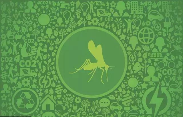 天气热如何灭蚊虫叮咬呢,夏季驱蚊的小妙招有哪些