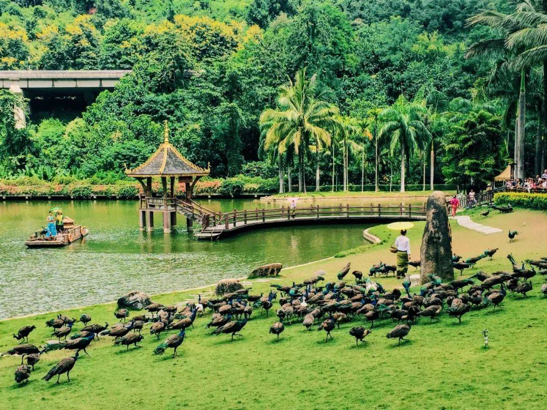探秘神秘的小镇,探秘边境风景