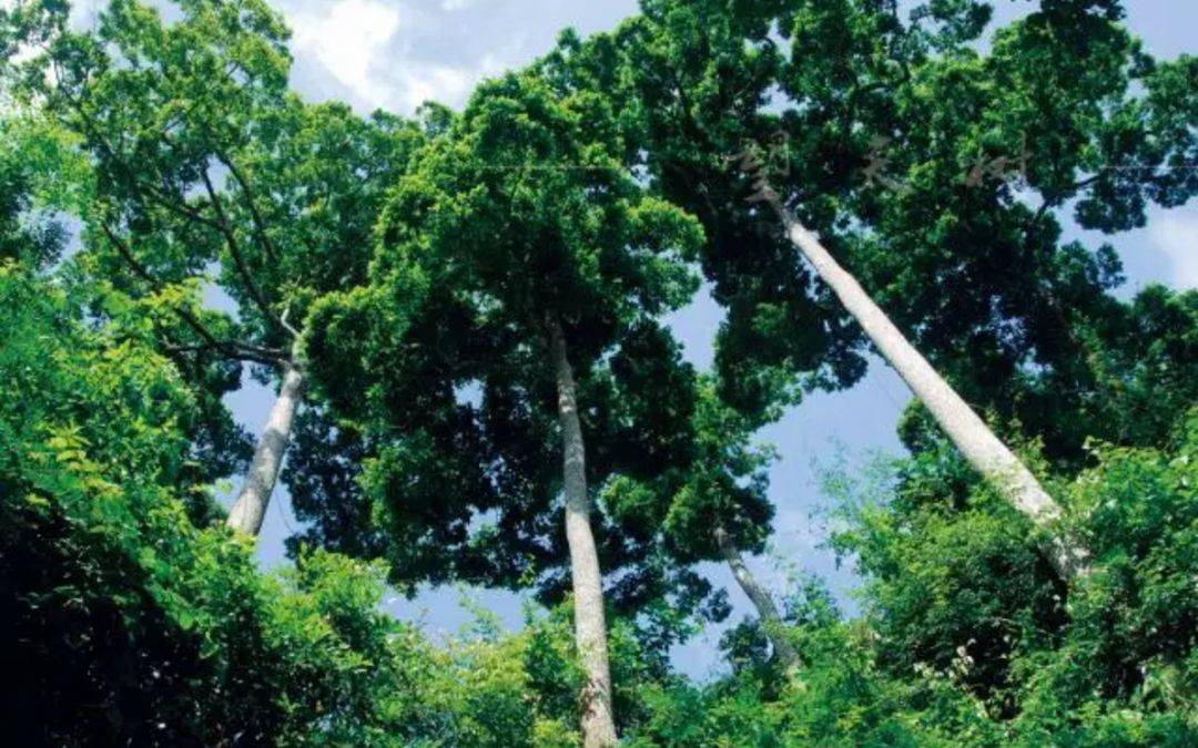 探秘神秘的小镇,探秘边境风景