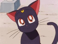 超级好卖的爆款灯,日本灯具品牌推荐女士款