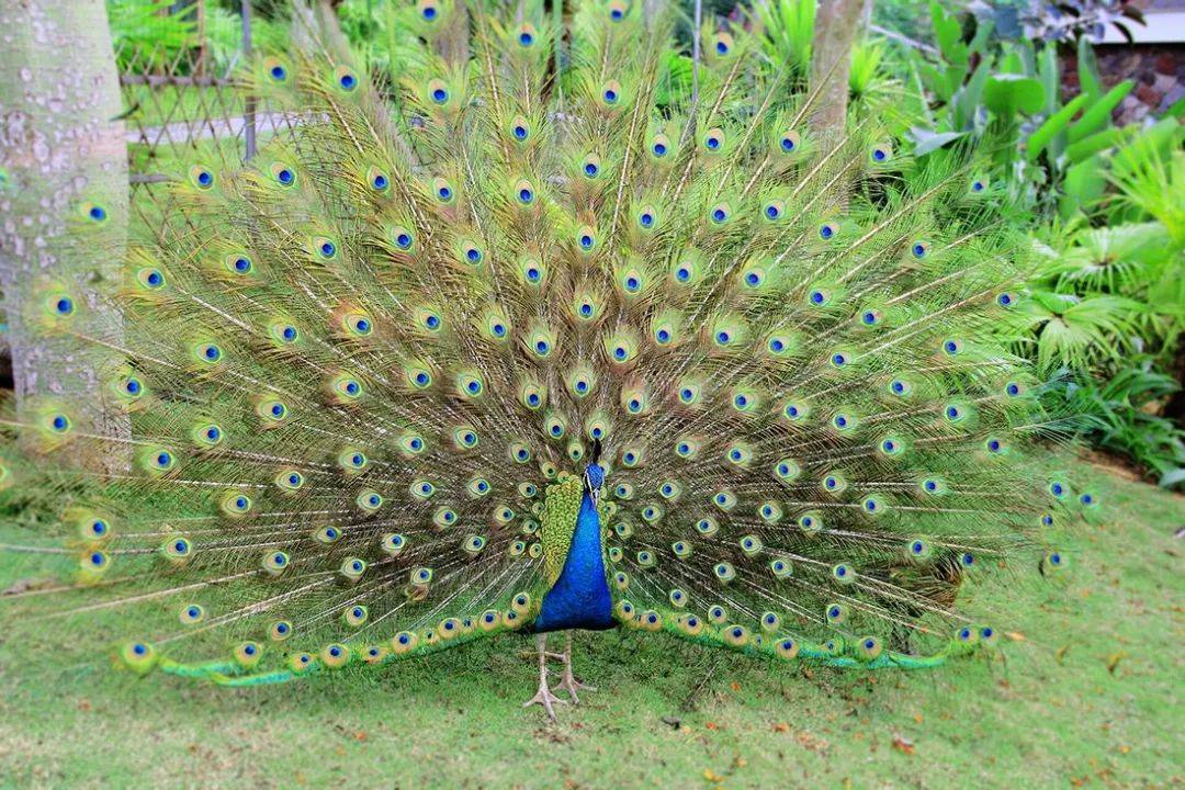 探秘神秘的小镇,探秘边境风景